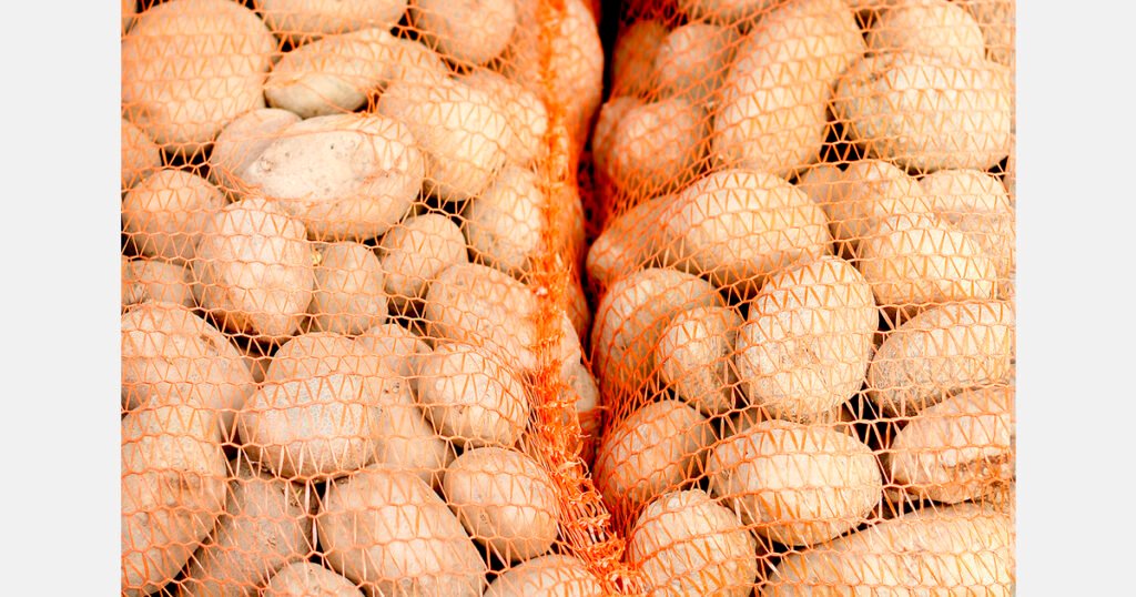 ارتفاع واردات أوكرانيا من البطاطس في عام 2025