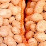 ارتفاع واردات أوكرانيا من البطاطس في عام 2025