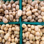 باكستان تبحث عن طريق إيران لتصدير البطاطس بعد إغلاق أفغانستان