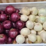 بصل كوينزلاند مستقر على الرغم من الطقس الصعب