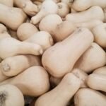 تراجع أسعار القرعيات الصلبة بسبب زيادة المعروض