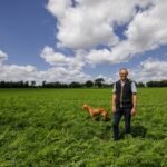 خسارة 5% فقط من المحصول: مزارع جزر يطمئن