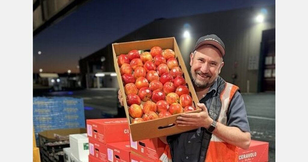 على الرغم من الحرارة، مزارعو التفاح في جنوب أستراليا سعداء بأول قطف