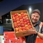 على الرغم من الحرارة، مزارعو التفاح في جنوب أستراليا سعداء بأول قطف