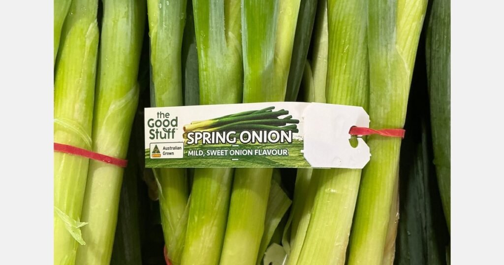 البصل الأخضر: خط إنتاج ثابت على مدار العام