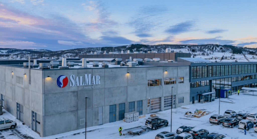 مقتل أكثر من نصف مليون سمك سلمون صغير: تحديد سبب محتمل