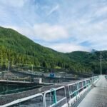 محكمة الاستئناف تؤيد قرار حظر مزارع السلمون في جزر ديسكفري