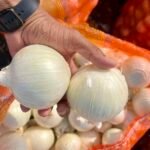 إزالة الرسوم الجمركية تعزز تنافسية صادرات البصل الأبيض الهندي