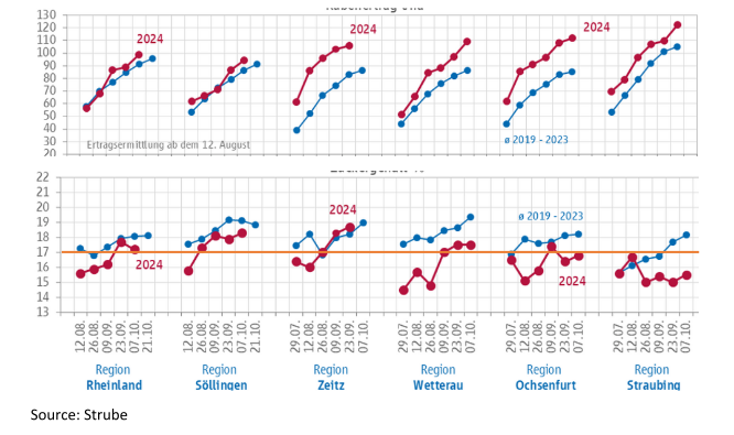 تحليل سوق السكر الأوروبي (الأسبوع 43)