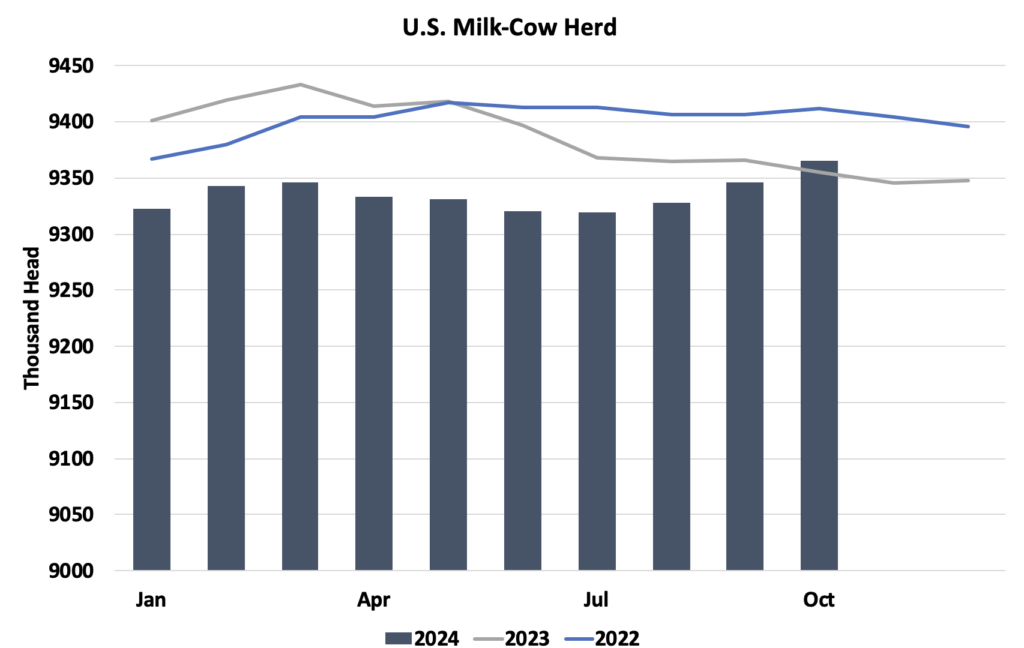 الأسواق تفقد بريقها الصيفي