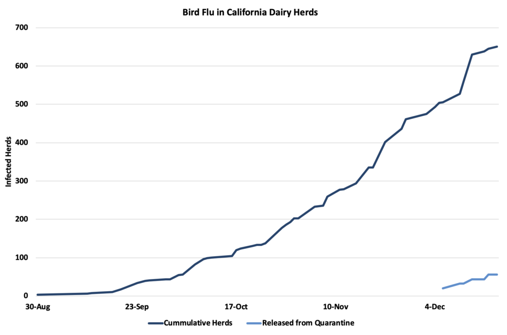 كارثة كاليفورنيا تعوض النمو