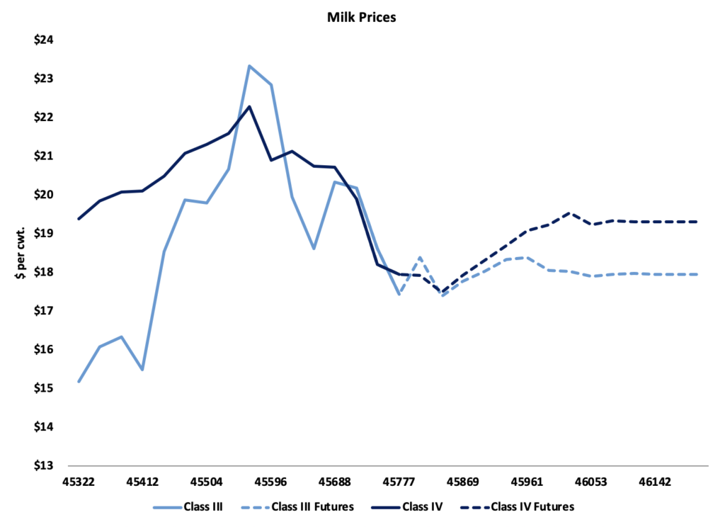 إيرادات الحليب على المحك: هل تتجاوز التكاليف؟