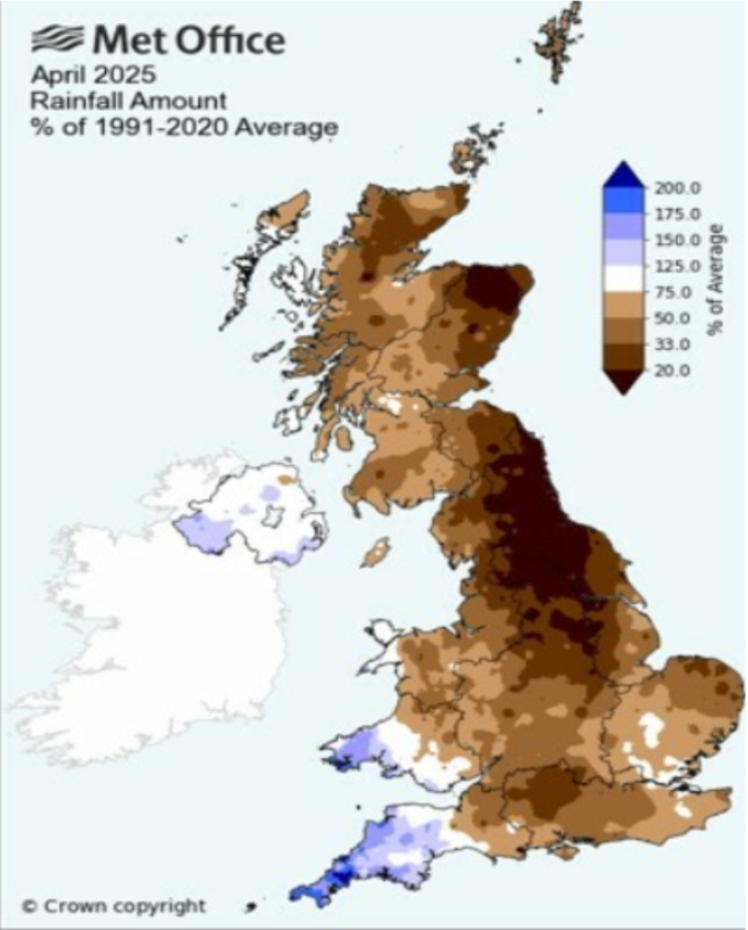 تحليل سوق السكر الأوروبي (الأسبوع 19)