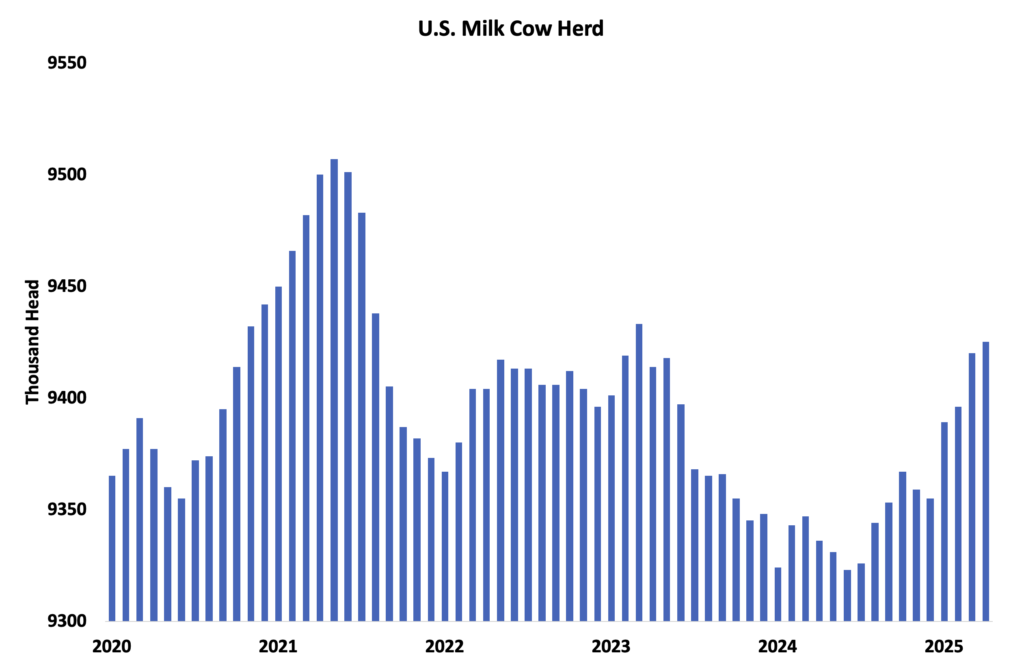 قوة التصميم الأمريكي