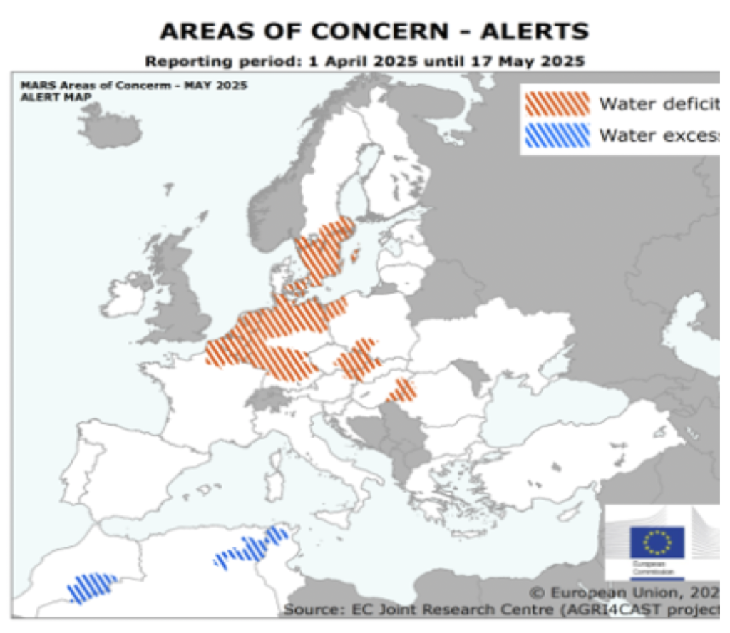 تحليل سوق السكر الأوروبي (الأسبوع 24)