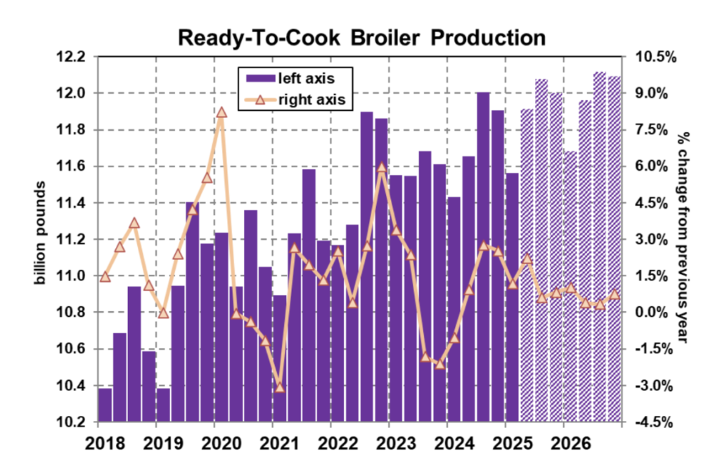 سوق الدجاج – 2 يوليو 2025