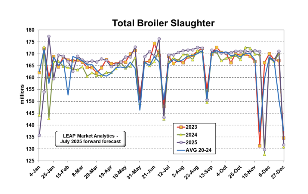 ملخص وتوقعات سوق الدجاج