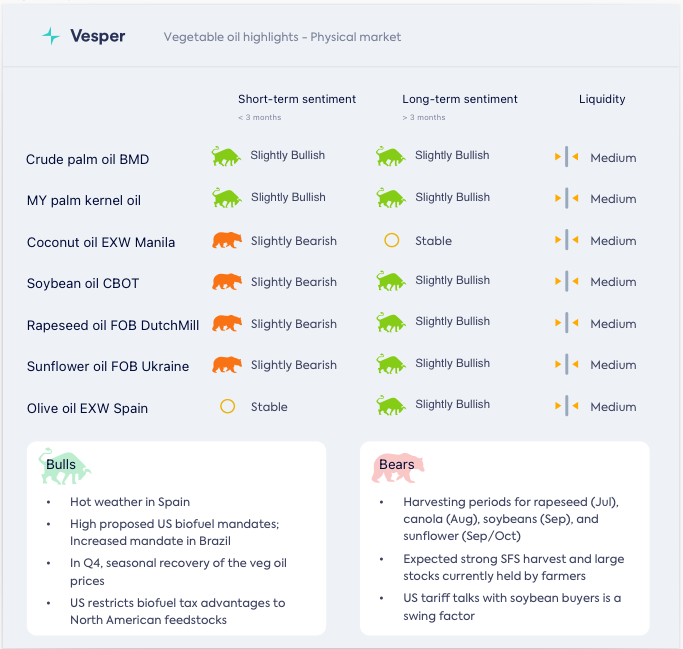 الفاتورة الجميلة الكبيرة والتعريفات