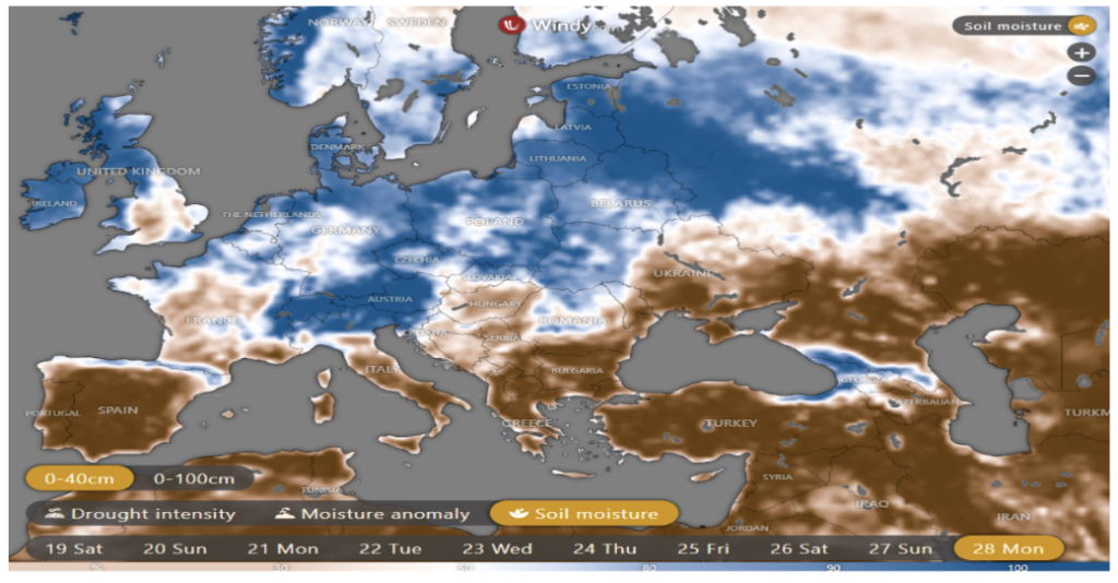 تحليل سوق السكر الأوروبي (الأسبوع 30)