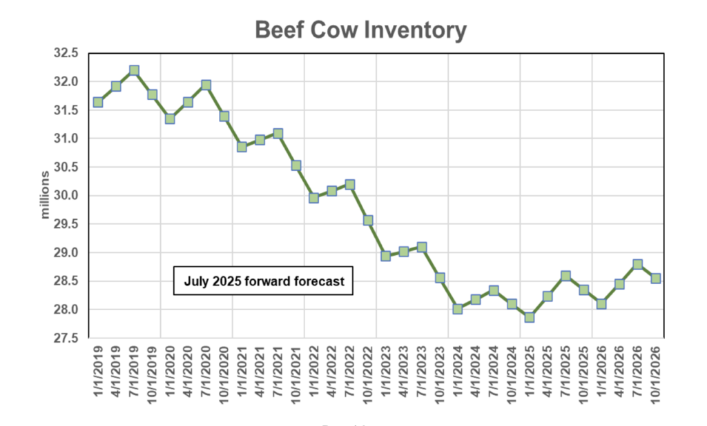 نظرة على سوق لحوم الأبقار: يوليو 2025