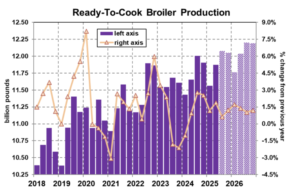 ملخص وتوقعات سوق دجاج التسمين – 30 يوليو 2025