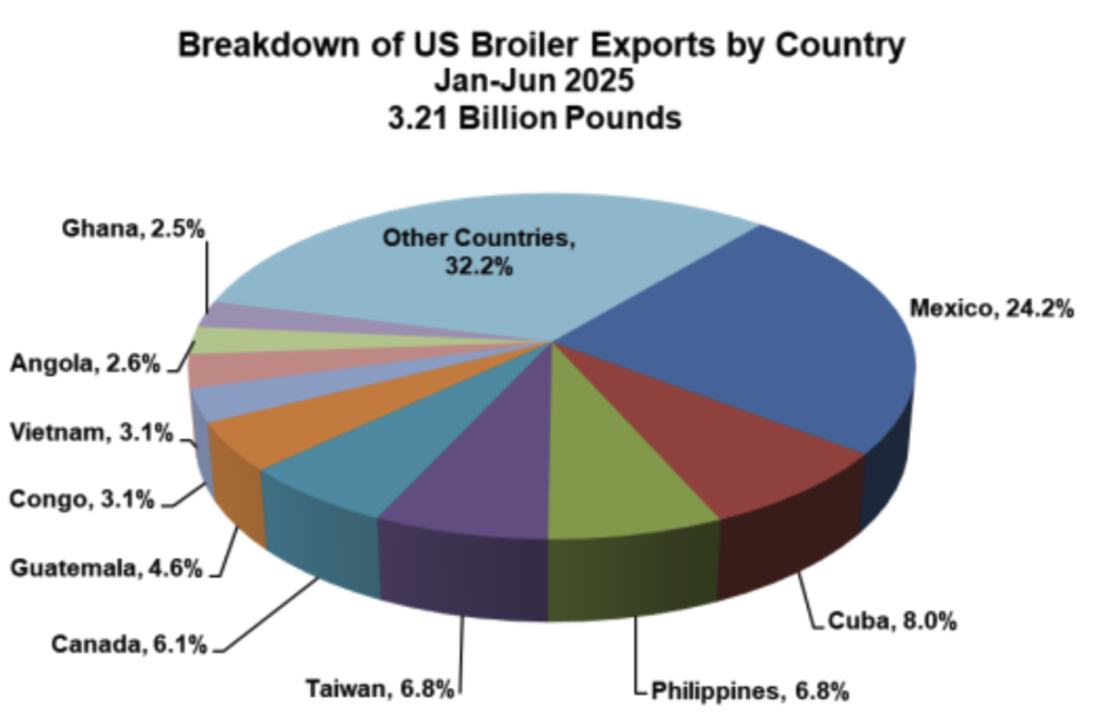 ملخص وتوقعات سوق الدجاج اللاحم 11 أغسطس 2025