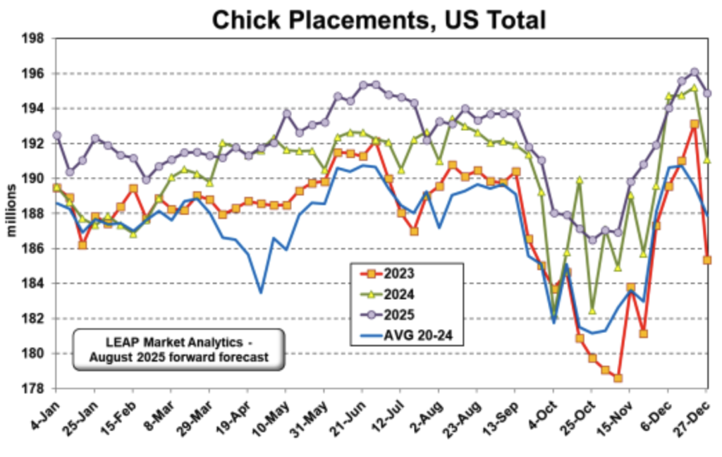 ملخص وتوقعات سوق الدجاج اللاحم 21 أغسطس 2025