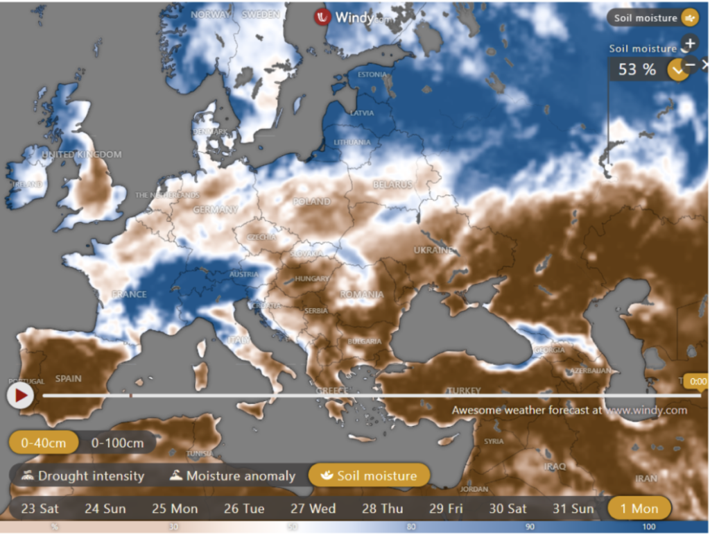 تحليل سوق السكر الأوروبي (الأسبوع 35)