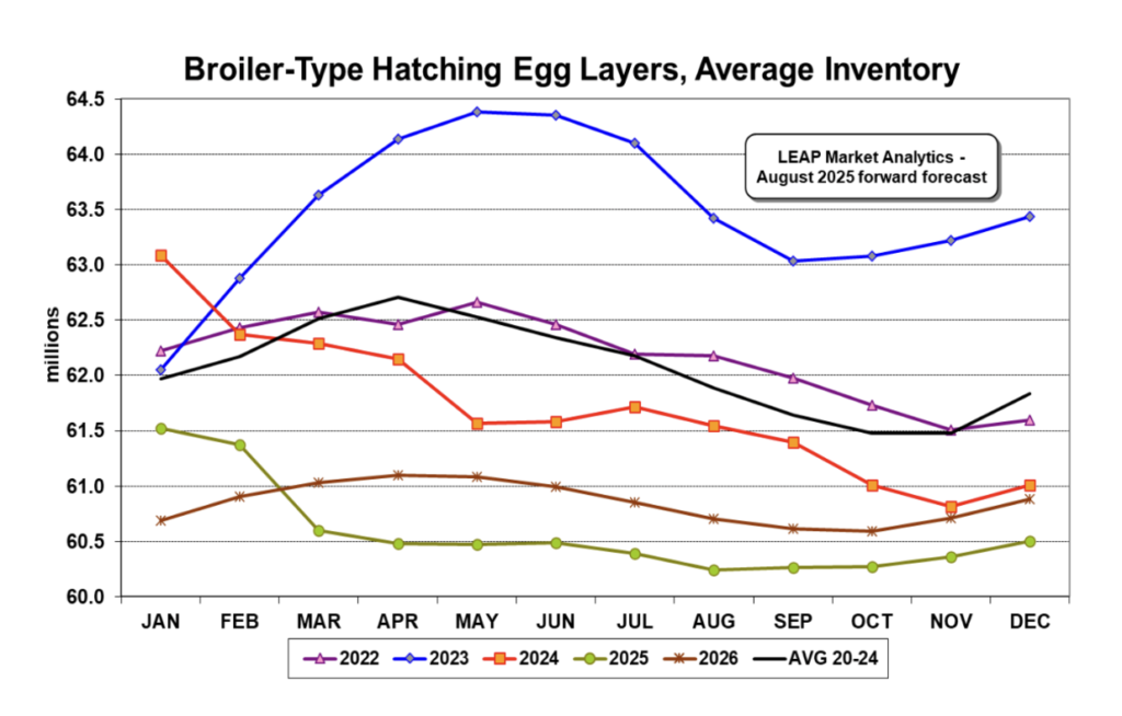 ملخص وتوقعات سوق الدجاج اللاحم في 26 أغسطس 2025