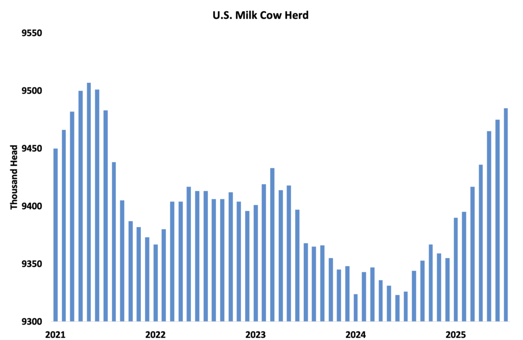 إنتاج الحليب الأمريكي يرتفع: دهون وبروتين قياسيان