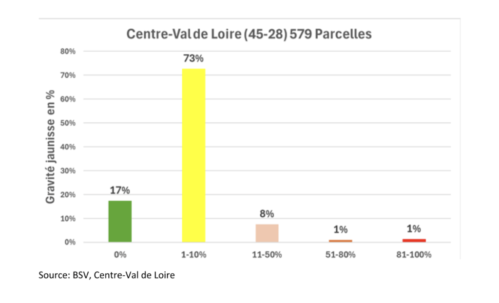 تحليل سوق السكر الأوروبي (الأسبوع 37)