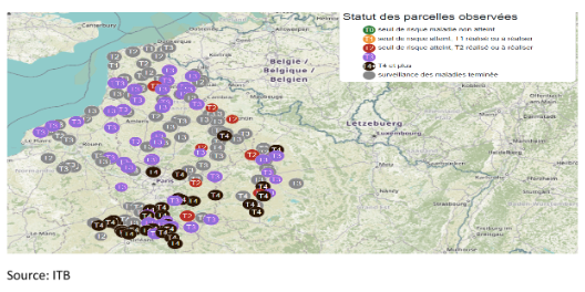 تحليل سوق السكر الأوروبي (الأسبوع 39)