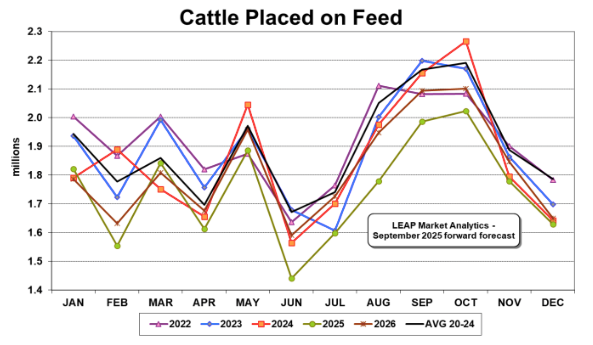 ملخص وتوقعات سوق لحوم البقر في 22 سبتمبر 2025