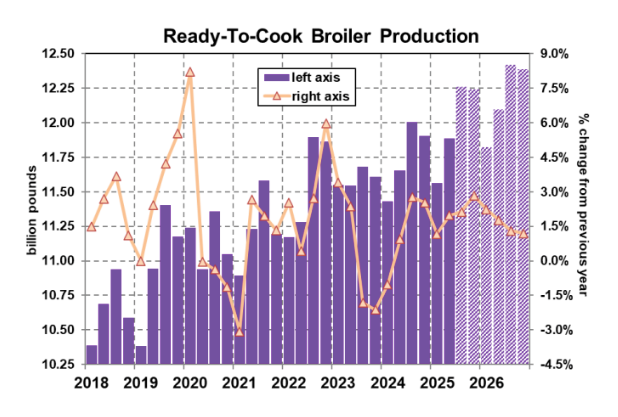 ملخص وتوقعات سوق الدجاج اللاحم 6 نوفمبر