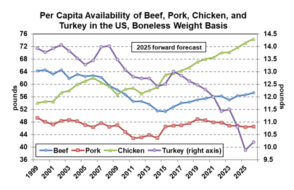 ملخص وتوقعات سوق الدجاج اللاحم – 13 نوفمبر 2025