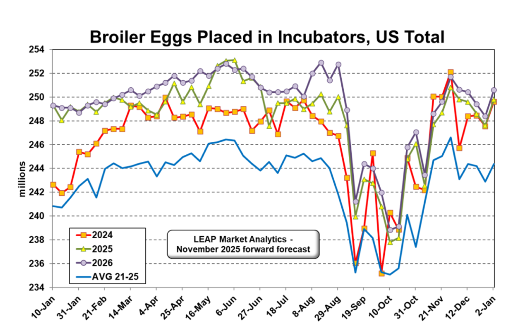 ملخص وتوقعات سوق الدجاج اللاحم 19 نوفمبر 2025