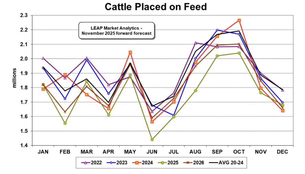 ملخص وتوقعات سوق لحوم البقر 24 نوفمبر 2025