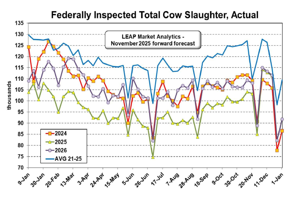 ملخص وتوقعات سوق لحوم البقر 11 ديسمبر 2025