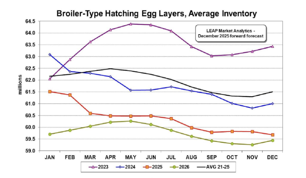 نظرة عامة على سوق الدجاج اللاحم: ديسمبر 2025