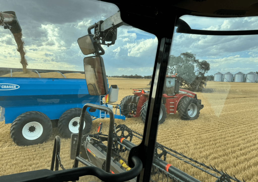 صادرات أستراليا من الشعير والذرة الرفيعة في ديسمبر: نظرة عامة