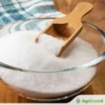 إنتاج السكر في ماهاراشترا: 806.34 مليون قنطار في موسم 2025-26