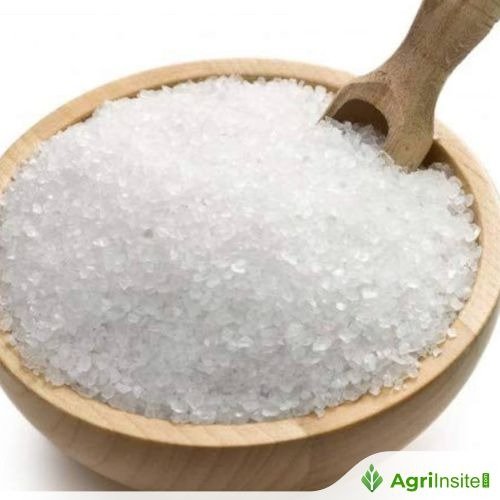 كينيا تتطلع إلى أوغندا لسد فجوة السكر بعد توقف مصانع الغرب عن الإنتاج