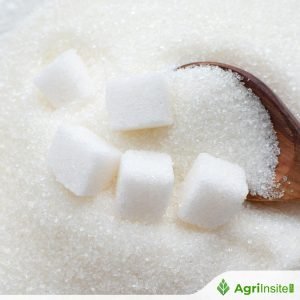 مصر تدرس تداول السكر في البورصة لتعزيز استقرار السوق