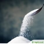 أسعار السكر تنخفض مع استمرار وفرة المعروض العالمي