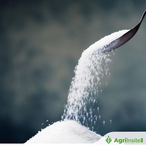 تحديثات سوق الصباح