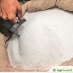 إنتاج السكر في الهند يرتفع: 225.30 ألف طن متري و 454 مصنعًا في العمل