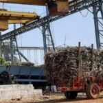 تراجع إنتاج السكر في أوتار براديش في يناير: أسباب وتأثيرات