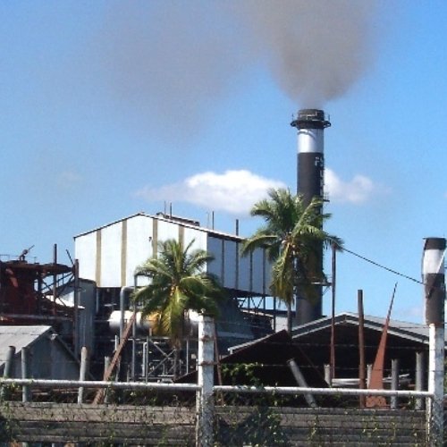 الحكومة الهندية تضخ سيولة ضخمة لدعم مصانع السكر التعاونية