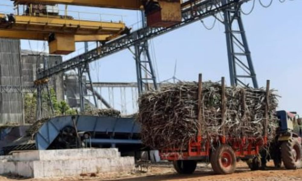 ماهاراشترا: دعوة إلى موازين رقمية في مصانع السكر لضمان حقوق المزارعين