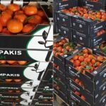 اليوسفي هو الأفضل أداءً حاليًا